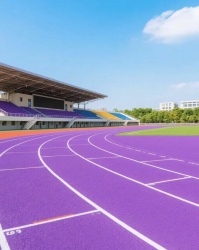 混合型塑胶跑道——专业赛事的常客揭秘