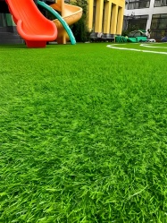 落叶、灰尘落在草坪上该如何处理？