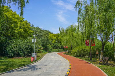 塑胶跑道胶水固含量不足会带来哪些隐性长期问题？