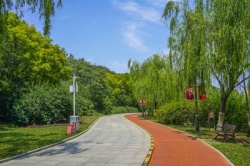 塑胶跑道胶水固含量不足会带来哪些隐性长期问题？